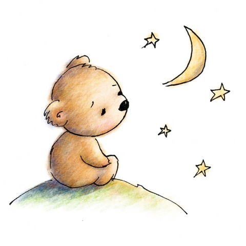 Cute blue teddy bear watching the stars